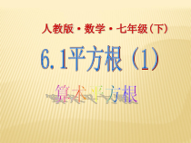 6.1.1《算数平方根》PPT课件4-七年级下册数学人教版