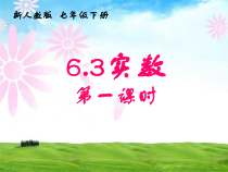 6.3.1《无理数、实数概念》PPT课件1-七年级下册数学人教版