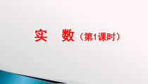 6.3.1《无理数、实数概念》PPT课件3-七年级下册数学人教版