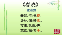 小学美术【苏少版】一年级下册《第6课 春天的色彩》PPT课件3(1)