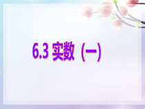 6.3.1《无理数、实数概念》PPT课件4-七年级下册数学人教版