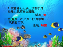 小学美术【苏少版】二年级上册《第13课 虾和蟹（一）》PPT课件5