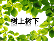 小学美术【苏少版】二年级下册《第9课　树上树下（一）》PPT课件2
