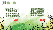 小学美术【苏少版】二年级下册《第14课　虫虫虫（一）》PPT课件7(1)