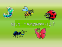 小学美术【苏少版】二年级下册《第14课　虫虫虫（一）》PPT课件4(1)