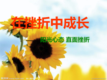 小学四年级【鄂教版】心理健康 第九课《在挫折中成长》PPT课件4