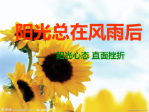 小学四年级【鄂教版】心理健康 第九课《在挫折中成长》PPT课件7
