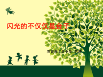 小学五年级【鄂教版】心理健康 第九课《闪光的不仅仅是金子》PPT课件3