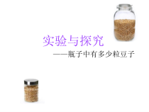 10.1《实验与探究 瓶子中有多少粒豆子》PPT课件2-七年级下册数学人教版
