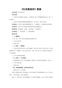 小学六年级【鄂教版】心理健康 第四课《生活真美好》教案2