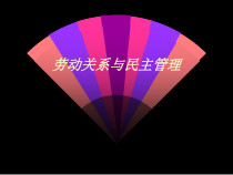 劳动关系与民主管理