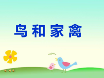 小学美术【苏少版】四年级下册《第6课　鸟和家禽》PPT课件1