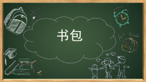 小学美术【苏少版】五年级上册《第12课　包的世界（二）》PPT课件2(1)