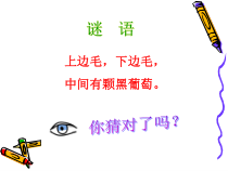 【北京版】一年级体育《第二节 行为习惯》PPT课件2