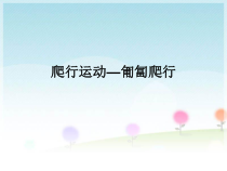【北京版】一年级体育《第五节 爬行活动》PPT课件2