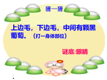 【北京版】一年级体育《第一节 认识身体》PPT课件1