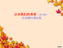 【北京版】一年级体育《第一节 认识身体》PPT课件5