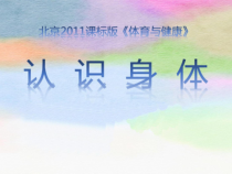 【北京版】一年级体育《第一节 认识身体》PPT课件4
