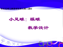 【北京版】二年级体育《第二节 小足球》PPT课件1