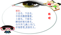 【北京版】二年级体育《第三节 保护视力》PPT课件1