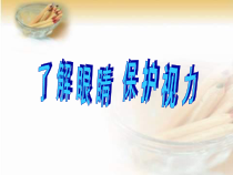 【北京版】二年级体育《第三节 保护视力》PPT课件2
