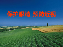 【北京版】二年级体育《第三节 保护视力》PPT课件3