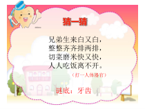 【北京版】三年级体育《第三节 学会刷牙，预防龋齿》PPT课件2