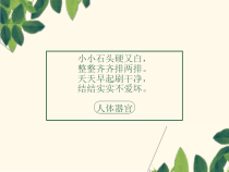 【北京版】三年级体育《第三节 学会刷牙，预防龋齿》PPT课件5