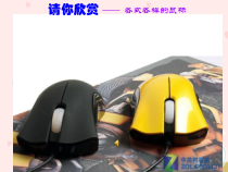 信息技术【大连理工版】一年级上册《精灵鼠小弟》PPT课件