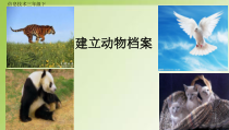 信息技术【大连理工版】三年级下册《建立动物档案》PPT课件 (共15页)