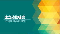 信息技术【大连理工版】三年级下册《建立动物档案》精美PPT课件 (共17页)