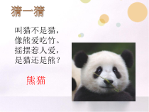 信息技术【大连理工版】三年级下册《设计动物图册》PPT课件 (3)