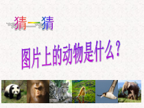 信息技术【大连理工版】三年级下册《设计动物图册》PPT课件