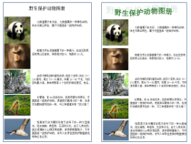 信息技术【大连理工版】三年级下册《神奇的艺术字》PPT课件 (8)
