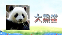 信息技术【大连理工版】三年级下册《神奇的艺术字》PPT课件 (共16页) (2)