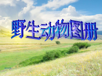 信息技术【大连理工版】三年级下册《神奇的艺术字》PPT课件 (共16页) (3)