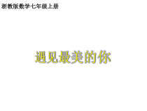 《4.2 代数式》PPT课件1-七年级上册数学浙教版