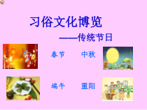 信息技术【大连理工版】四年级下册《习俗文化博览》PPT课件 (6)