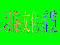 信息技术【大连理工版】四年级下册《习俗文化博览》PPT课件 (11)