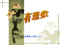 《1.1 从自然数到有理数》PPT课件1-七年级上册数学浙教版