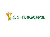 《4.3 代数式的值》PPT课件3-七年级上册数学浙教版
