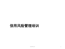 信用风险管理培训1