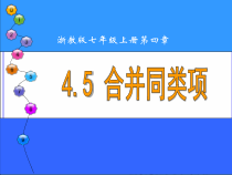 《4.5 合并同类项》PPT课件2-七年级上册数学浙教版