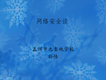 信息技术【大连理工版】五年级上册《网络安全谈》PPT课件 (2)