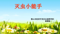 信息技术【大连理工版】五年级下册《灭虫小能手》PPT课件