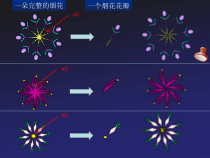 信息技术【大连理工版】五年级下册《绚丽的烟花》PPT课件 (2)