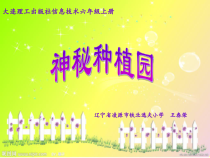 信息技术【大连理工版】六年级上册《神秘种植园》PPT课件