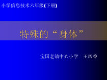 信息技术【大连理工版】六年级下册《特殊的“身体”》PPT课件 (2)