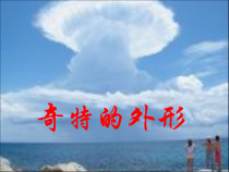 信息技术【大连理工版】六年级下册第二课《奇特的外形》PPT课件