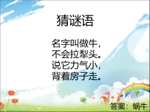 艺术【鄂教版】二年级下册《蜗牛与黄鹂鸟》PPT课件1